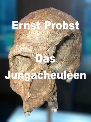 cover image of Das Jungacheuléen